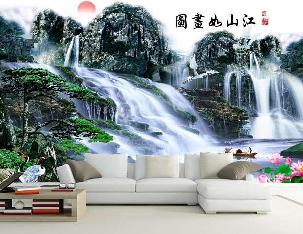 拯救受伤的猫